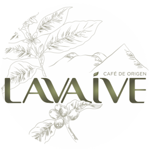 https://lavaive.com/wp-content/uploads/2021/09/logo-circulo-lavaive-go-min-300x300.png