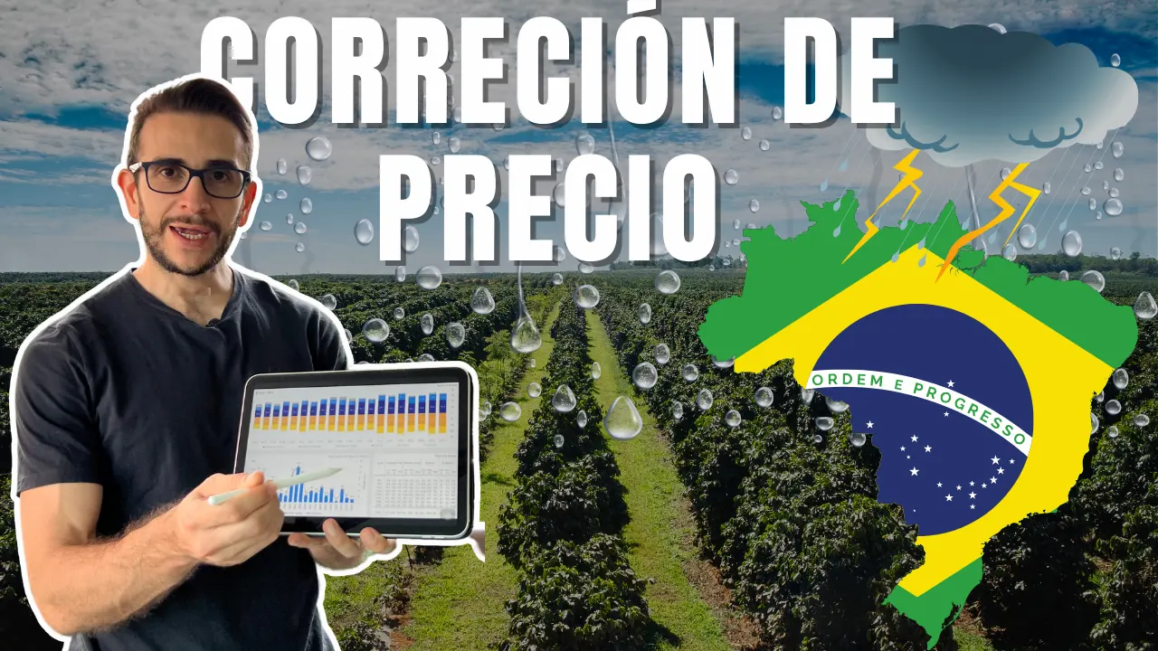 Cómo anticipar el próximo movimiento del precio del café