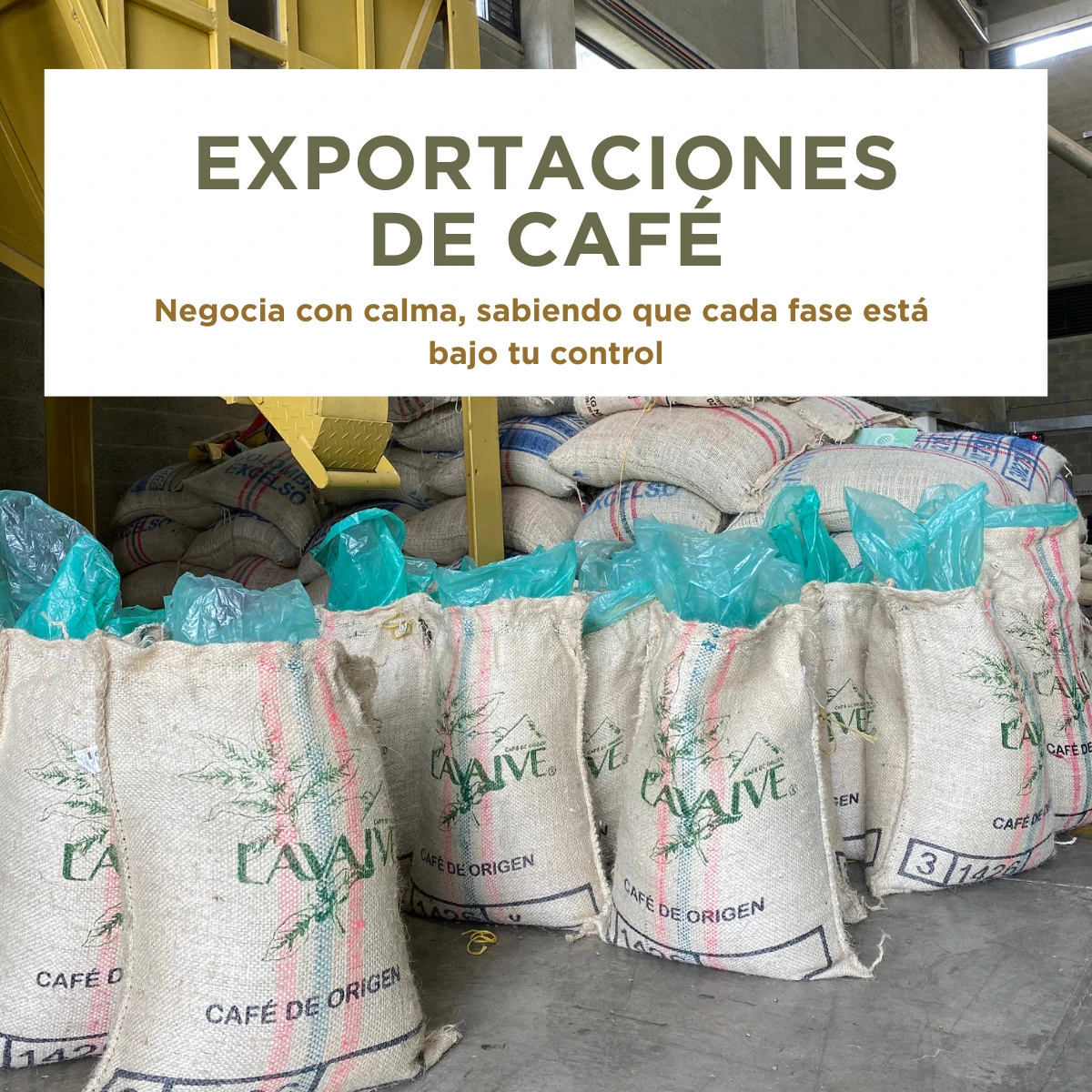 Curso de exportaciones de café