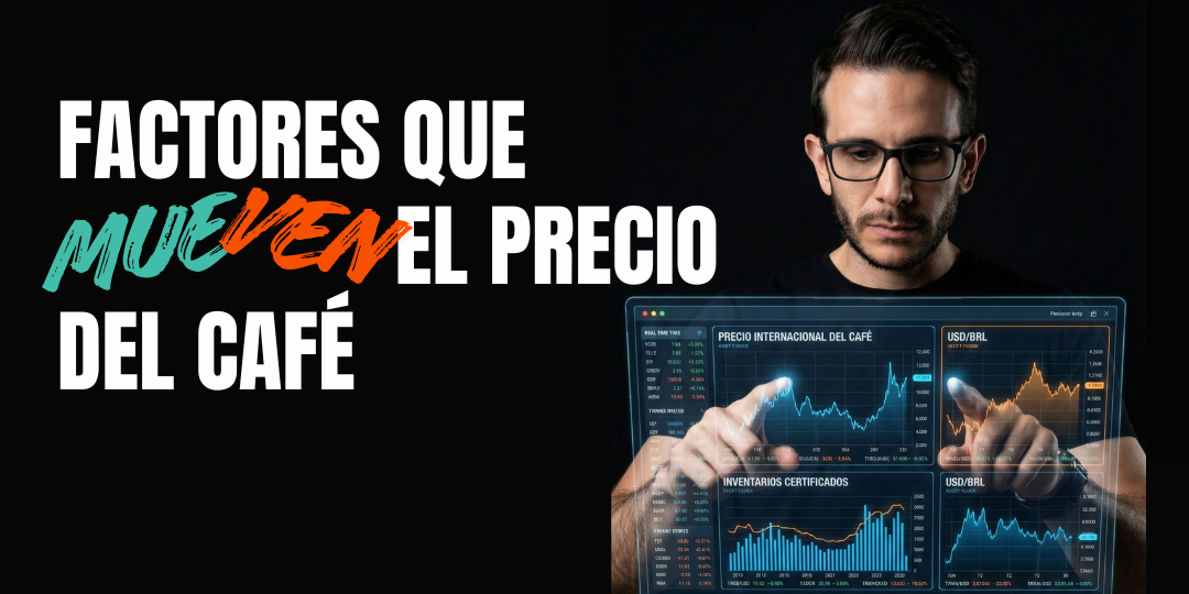 ¿Cómo se Determina el Precio del Café en la Bolsa de Nueva York?